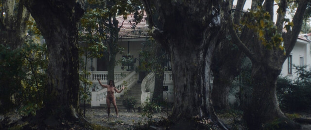 Katja Alemann nude – Southern Storm (La sudestada) (2023)