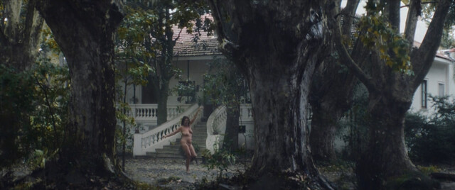 Katja Alemann nude – Southern Storm (La sudestada) (2023)