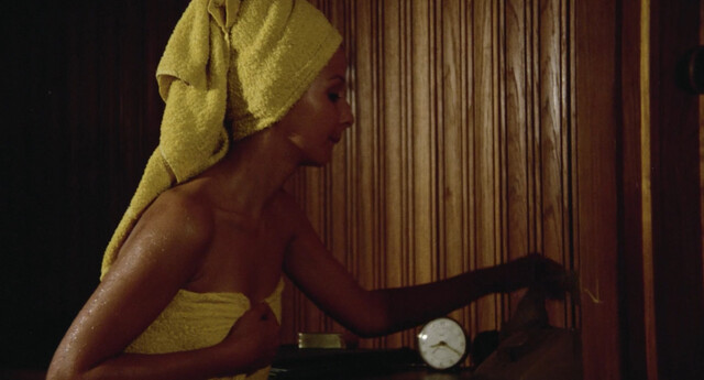 Carla Hoogeveen nude – Night of Fear (1973)