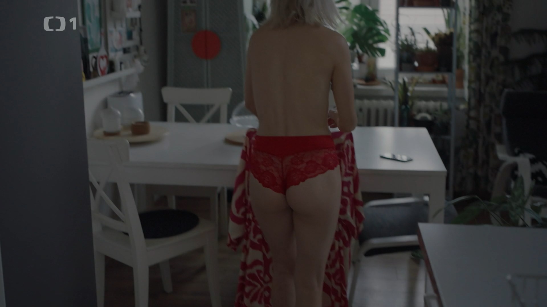 Izabela Vydrová nude – Stíny v mlze s02e06-08 (2024)