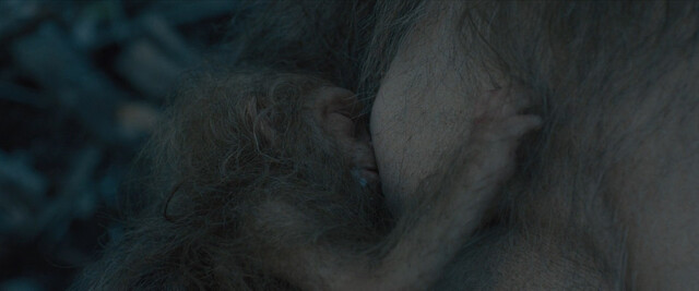 Riley Keough nude – Sasquatch Sunset (2024)