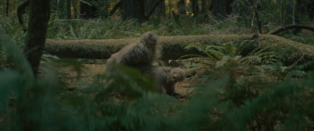 Riley Keough nude – Sasquatch Sunset (2024)