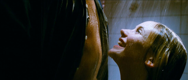 Bracha van Doesburgh nude – Vet hard (2005)