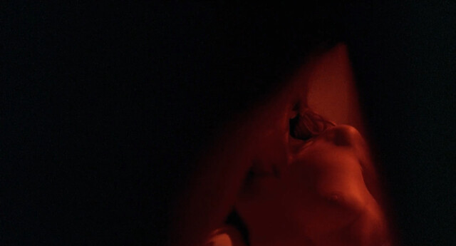 Sandrine Caron nude – Le bal des casse-pieds (1992)