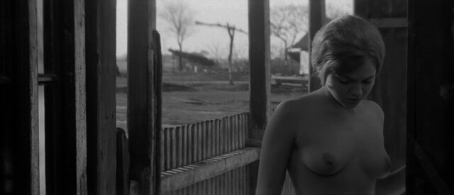 Gór Nagy Mária nude – Csend és kiáltás (1968)