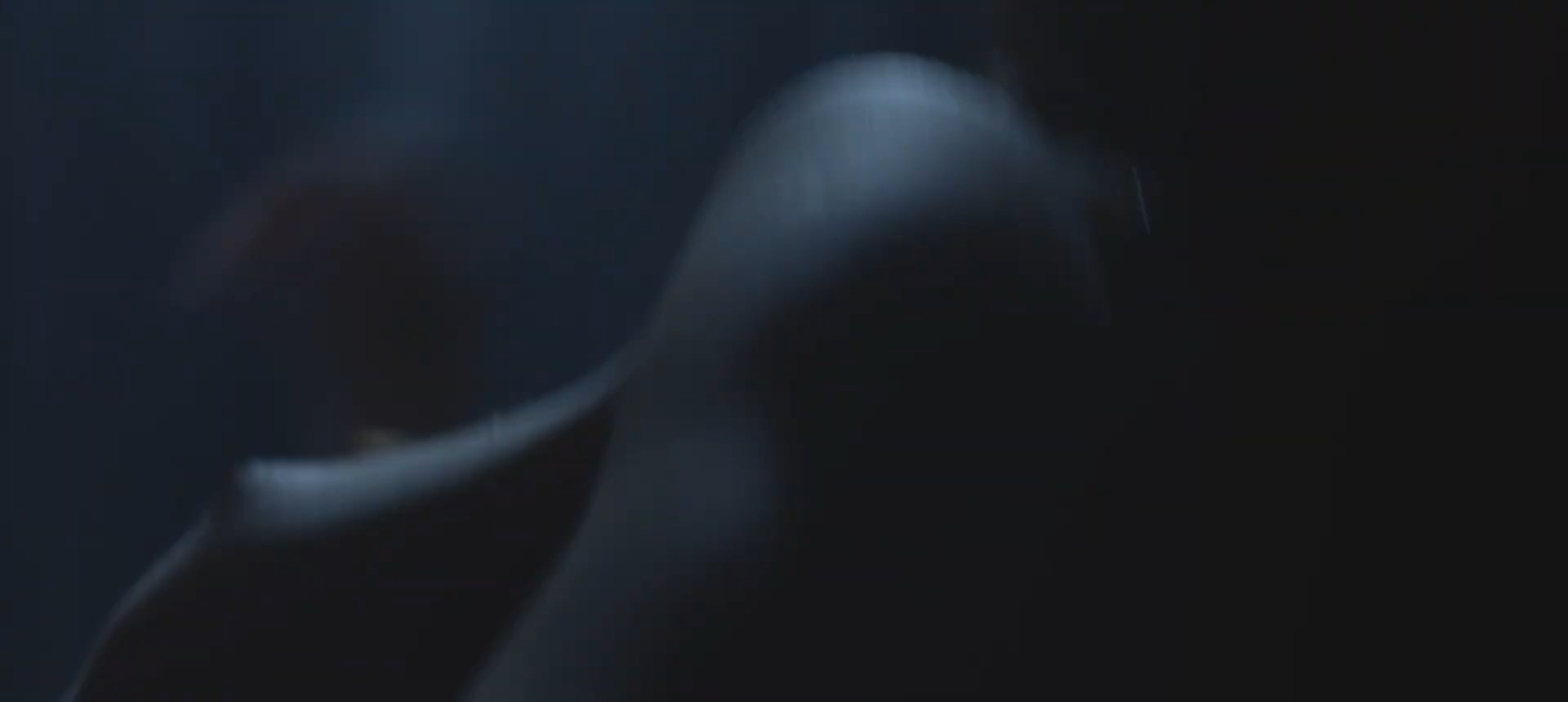 Zuzanna Molenda nude – Erotyk (2023)