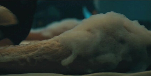 Laysla De Oliveira nude, Stephanie Nur sexy - Lioness s01e01-07 (2023)