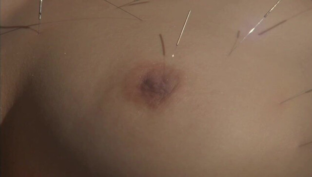 Aya Sugimoto nude - Flower and Snake (2004)