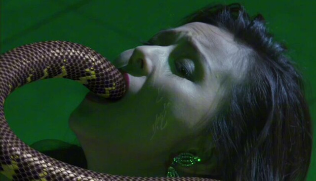 Aya Sugimoto nude - Flower and Snake (2004)