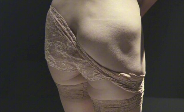 Aya Sugimoto nude - Flower and Snake (2004)