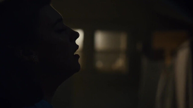 Daisy Edgar-Jones nude, Sasha Calle sexy - On Swift Horses (2024)