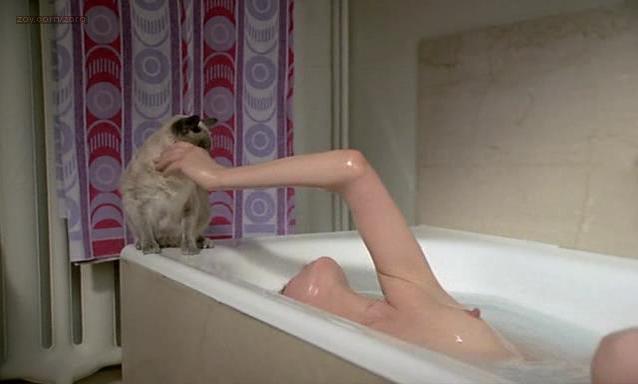 Jane Birkin nude - Melancoly Baby (1979)